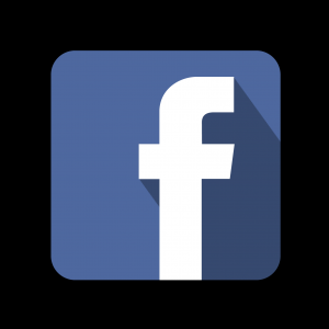 Flat Style Facebook Icon