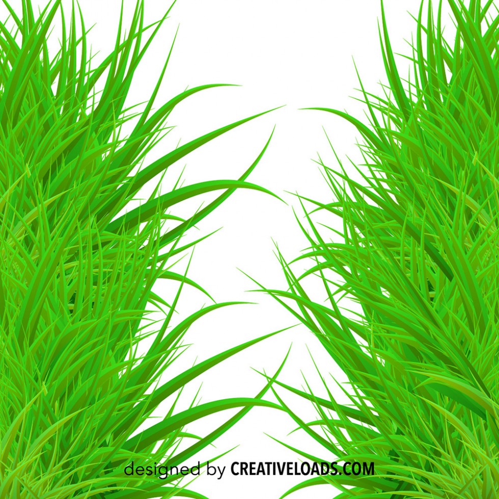 Vector Grass Frame